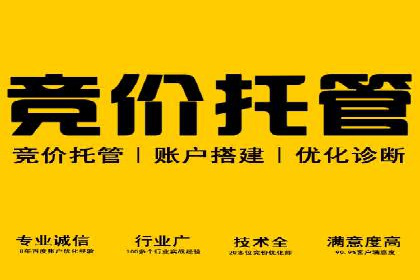 搜索开户返点揭秘：实战案例赚钱技巧
